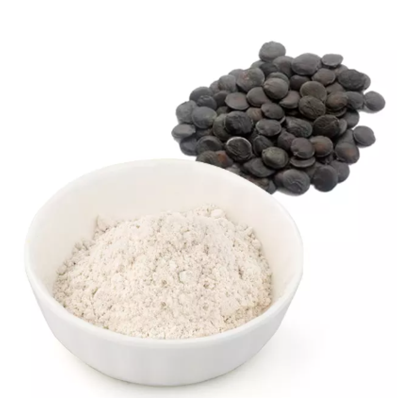 Herbal Plant Extract 5-HTP Griffonia Seed Extract 5 htp 98% 5HTP Powder